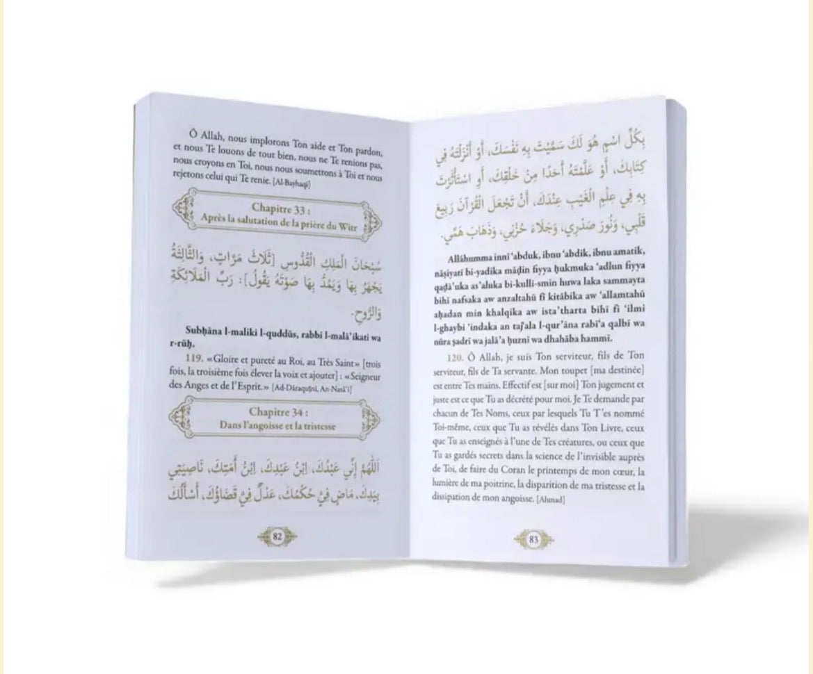 La Citadelle du Musulman - Bleu