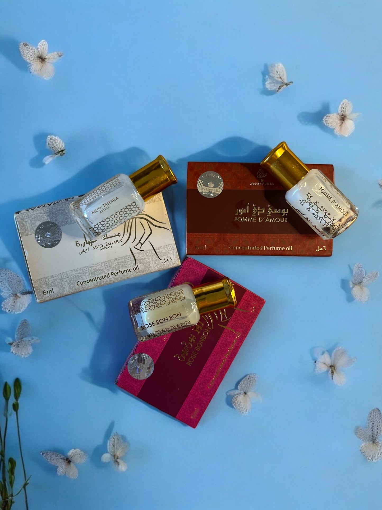 Lot Musc Femme - My Perfumes